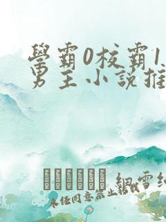 学霸0校霸1双男主小说推荐