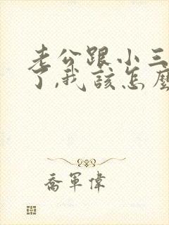 老公跟小三同居了,我该怎么做