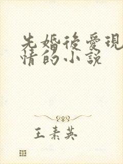 先婚后爱现代言情的小说