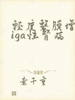 轻度系膜增生性iga性肾病