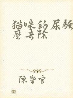 猫咪的尿骚味怎么去除