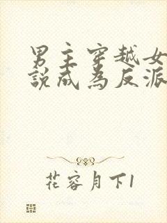 男主穿越女频小说成为反派