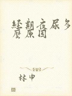 经期夜尿多是什么原因