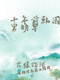 十年前韩国最火男明星