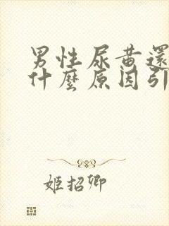 男性尿黄还疼是什么原因引起的