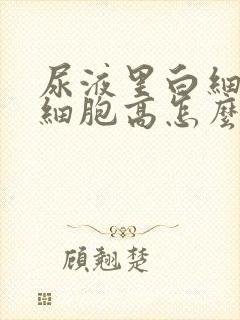 尿液里白细胞红细胞高怎么回事