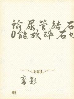 输尿管结石2.0能放碎石吗