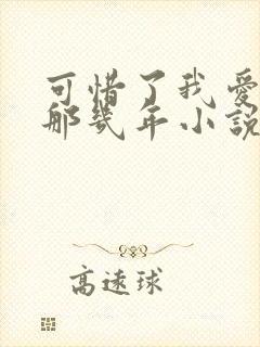 可惜了我爱着你那几年小说免费阅读