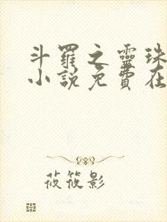 斗罗之灵珠神剑小说免费在线阅读完整版