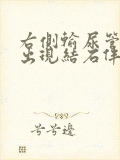 右侧输尿管下段出现结石伴右肾轻度积水