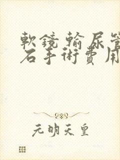 软镜 输尿管结石手术费用