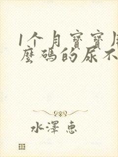 1个月宝宝用什么码的尿不湿