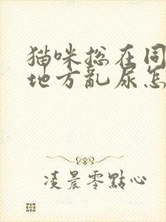 猫咪总在同一个地方乱尿怎么办