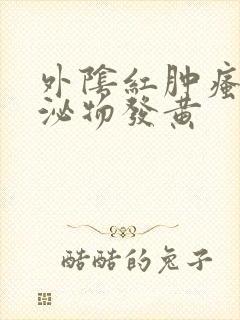 外阴红肿瘙痒分泌物发黄