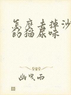 怎么去掉沙发上的猫尿味