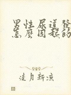 男性尿道发炎是怎么因起的