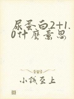 尿蛋白2+1.0什么意思