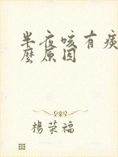 半夜咳有痰是什么原因