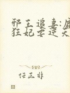 邪王追妻:废材狂妃要逆天