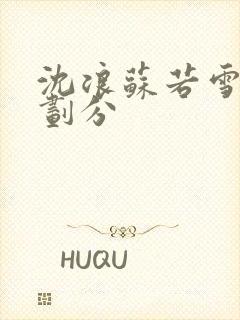 沈浪苏若雪境界划分