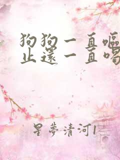 狗狗一直呕吐不止还一直喝水