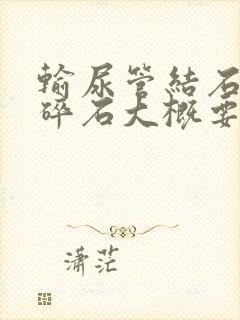 输尿管结石体外碎石大概要多少钱