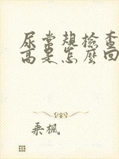 尿常规检查细菌高是怎么回事女性