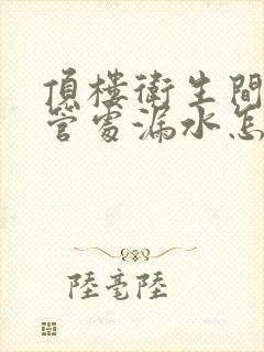 顶楼卫生间下水管处漏水怎么办