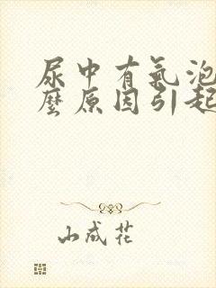 尿中有气泡是什么原因引起的