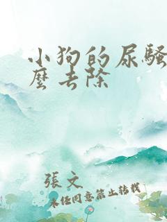 小狗的尿骚味怎么去除