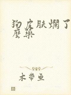 狗皮肤烂了用什么药