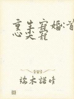 重生宠婚:首席心尖宠