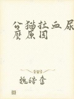 公猫拉血尿是什么原因