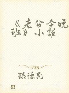 《老公今晚我加班》小说