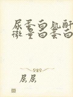 尿蛋白肌酐和尿微量白蛋白的区别