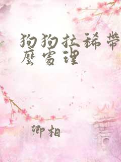 狗狗拉稀带血怎么处理