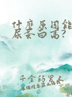 什么原因能引起尿蛋白高?