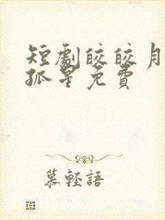 短剧皎皎月色落孤星免费