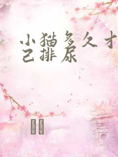 小猫多久才会自己排尿