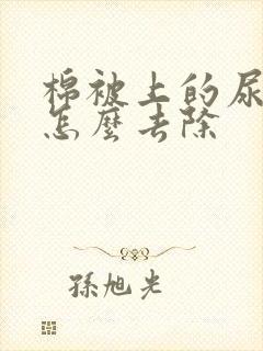 棉被上的尿骚味怎么去除