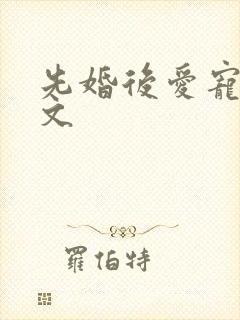 先婚后爱宠文甜文