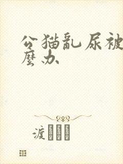 公猫乱尿被骂怎么办