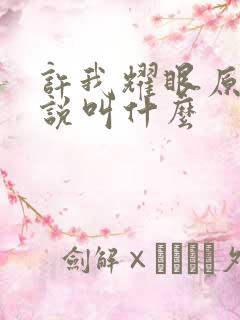 许我耀眼原著小说叫什么