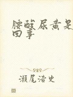 腰酸尿黄是怎么回事