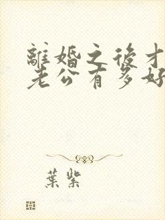 离婚之后才知道老公有多好全文免费阅读