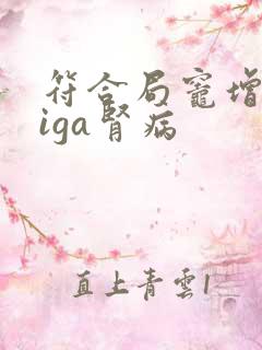 符合局灶增生性iga肾病