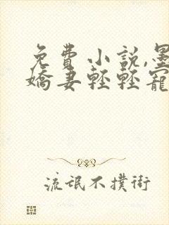 免费小说,墨少娇妻轻轻宠爱