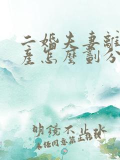 二婚夫妻离婚财产怎么划分