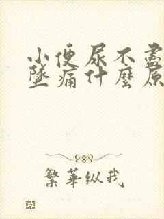 小便尿不尽小腹坠痛什么原因