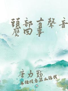 头部有声音是怎么回事